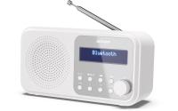 Sharp Digitalradio DR-P420