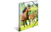 Herma Sammelmappe A4 Pferde