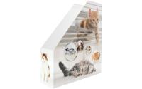 Herma Stehsammler A4 Katzen