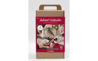 Creativ Company Adventskalender Bastelset