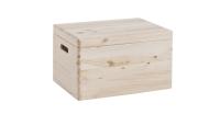 Zeller Aufbewahrungskiste mit Deckel