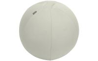 Leitz Active Sitzball 55cm