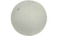 Leitz Active Sitzball 65cm