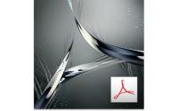 Adobe Acrobat Std DC, Lizenz WIN Enterprise