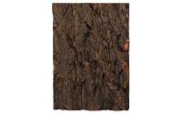 Repti Planet Kork-Rückwand 19x27.3x2cm