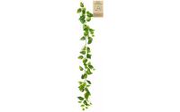 Botanic-Haus Efeugirlande