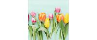 B+C Servietten Rainbow Tulips mint