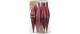 Inge Weihnachtskugel Bordeaux Red Olive