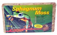 Lucky Reptile Sphagnum Moss