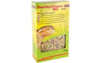 Lucky Reptile Bearded Dragon Mix