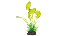 Superfish Art Plant 25cm Echinodorus