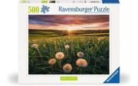 Puzzle Pusteblumen im Sonnenuntergang