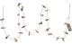 Star Trading Lichterkette Clippy Advent