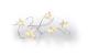STT Battery String stars 50