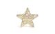 STT LED Dekoration Gold standing star