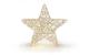 STT LED Dekoration Gold standing star