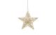 STT LED Dekoration Gold hanging star