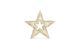 STT LED Dekoration Glamour star