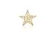 STT LED Dekoration Glamour hanging star