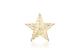 STT LED Dekoration Glamour hanging star