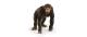 Schleich Schimpanse