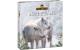 Wolfsblut Adventskalender