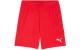 PUMA Shorts teamGOAL