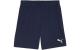 PUMA Shorts teamGOAL