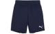 PUMA Shorts teamGOAL Jr