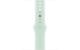 APPLE Aquamarine Sport Band - M/L
