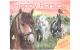 Depesche Stickerbuch Happy Horses