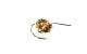 Konstsmide Micro LED Lichterkette Shine 5m