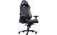 Trust GXT721 Ruya Pro Gaming Chair