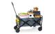 EASYmaxx Bollerwagen faltbar grau
