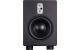 EVE Audio TS110