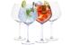 Alpina Gin Tonic Gläser, 4 Stück