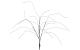 Star Trading Decorativer Baum Reedy