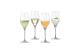 Spiegelau Special Glasses Sektglas Set