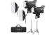 Godox Litemons LA150D 2-Light Kit, 190W