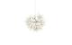 STT LED Flower Starburst 30 weiss