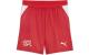 PUMA Shorts SFV Replica Jr