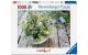 Sommerl. Wiesenstrauss 1000p