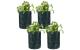 STRUCT Pflanzentasche 4er Set PE