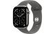 Apple Watch S11 CEL 42 Nat Titanium S