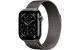 Apple Watch S11 CEL 42 Slate Titanium LOOP