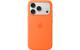 Apple iPhone 17 Pro Silicone Case