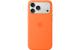 Apple iPhone 17 Pro Max Silicone Case