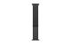 Apple Sport Loop