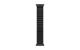 Apple AlpineLoop Black Titanium Finish