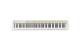 CASIO PRIVIA PX-S1100 Mellow Beige